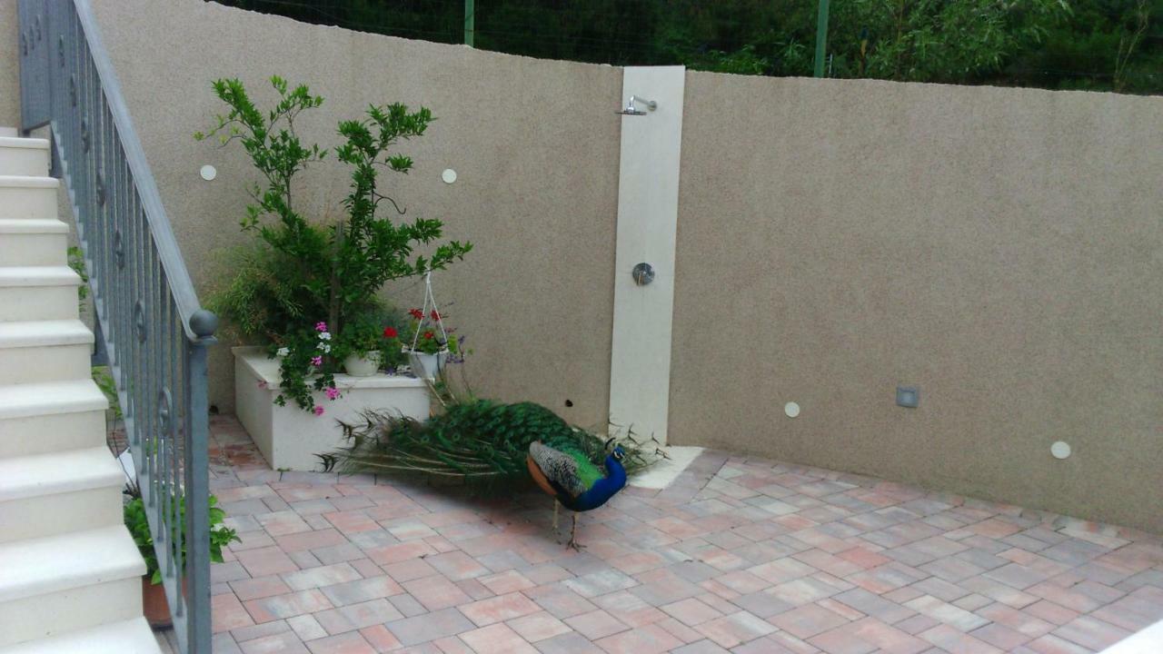 Anka Strman Daire Makarska Dış mekan fotoğraf